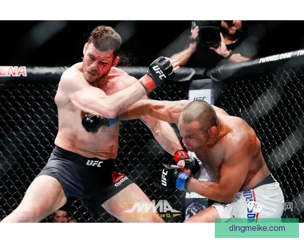 丹叔对决比斯平的传奇之战与时代意义技术风格历史影响深度剖析